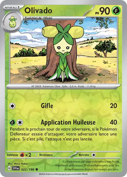 Olivado Reverse